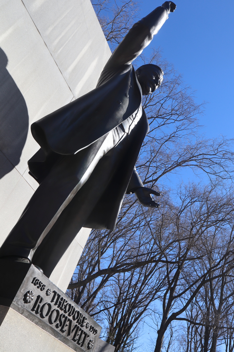 How I Spent a Beautiful Day at Theodore Roosevelt Island